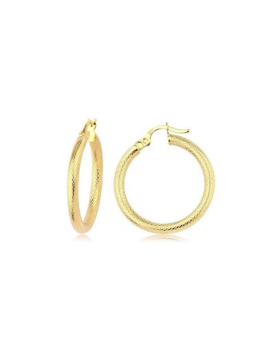 İpeksi Parlak Prenses Altın Halka Küpe (Çapı: 2.8cm) resmi