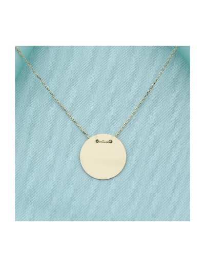 14 Ayar Altın Plaka Kolye resmi