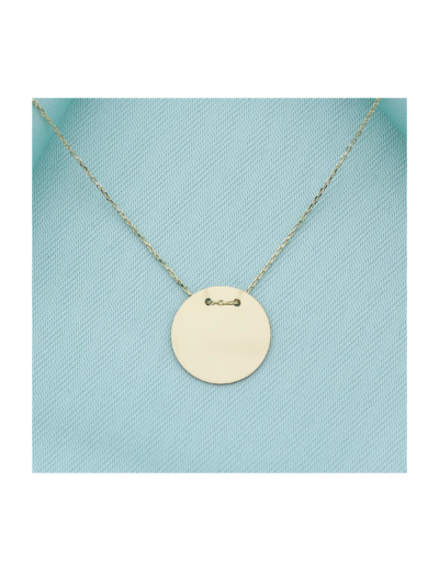 14 Ayar Altın Plaka Kolye resmi