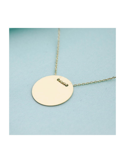 14 Ayar Altın Plaka Kolye resmi