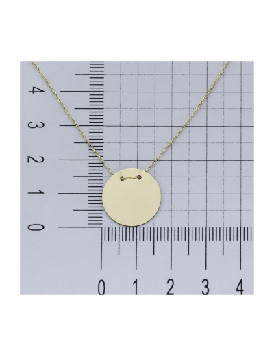 14 Ayar Altın Plaka Kolye resmi