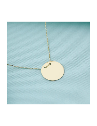 14 Ayar Altın Plaka Kolye resmi