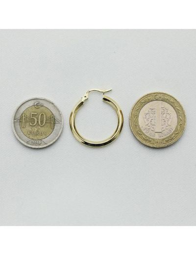 Keskin Altın Halka Küpe (Çapı:2.5 cm) resmi