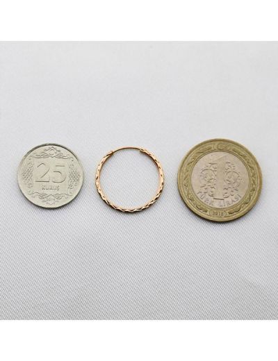 Yıldız Kalemli Pembe Altın Halka Küpe (Çapı: 2.2 cm) resmi