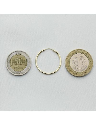 Altın Halka Küpe (Çapı: 2.20cm) resmi