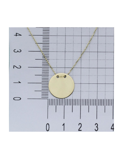 Kişiye Özel İsimli Plaka Altın Kolye - 14 Ayar resmi