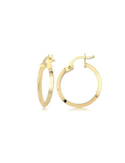 Keskin Altın Halka Küpe (Çapı:2.3 cm) resmi
