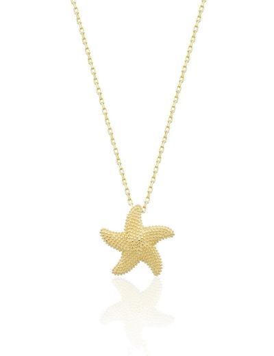 14 Ayar Altın Deniz Yıldızı Kolye resmi