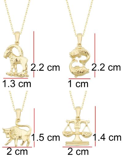 Terazi Burcu Altın Kolye / 14 Ayar resmi