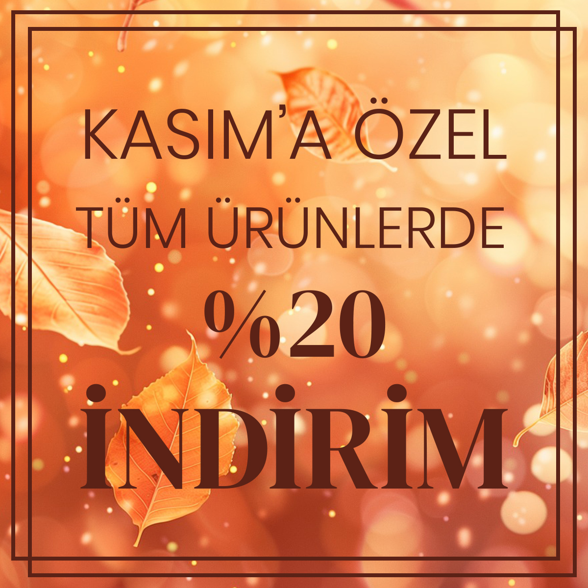 Picture of Kasım İndirimleri.