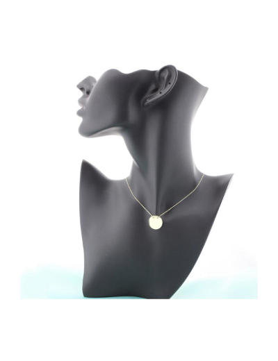 14 Ayar Altın Plaka Kolye resmi