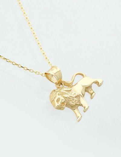 14 Ayar Altın Kolye Leo resmi