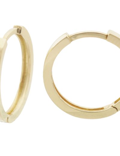 Yuvarlak 14 Ayar Altın Halka Küpe - Gövde Klips resmi