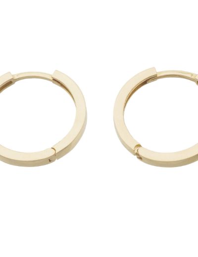 Yuvarlak 14 Ayar Altın Halka Küpe - Gövde Klips resmi