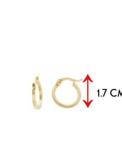 Klasik 14 Ayar Altın Halka Küpe - Küçük Boy resmi