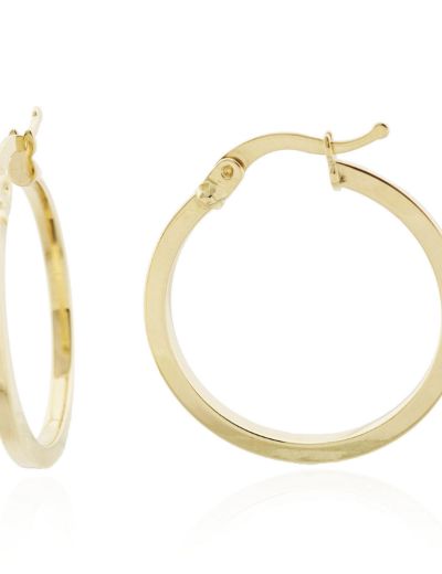 Klasik 14 Ayar Altın Halka Küpe - Orta Boy resmi