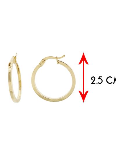 Klasik 14 Ayar Altın Halka Küpe - Orta Boy resmi