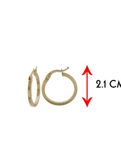 Klasik 14 Ayar Altın Halka Küpe resmi