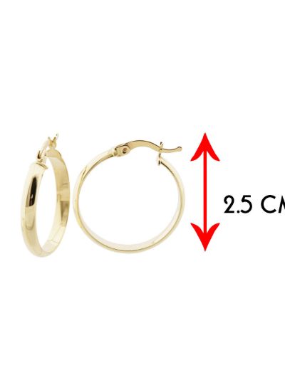 Klasik Parlak 14 Ayar Altın Halka Küpe-Büyük Boy resmi