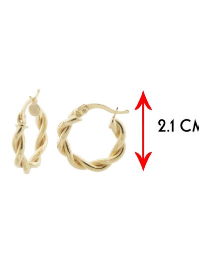 Parlak Çift Burgu 14 Ayar Altın Halka Küpe- Küçük Boy resmi