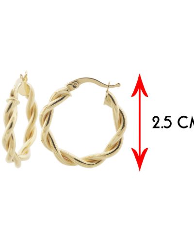 Parlak Çift Burgu 14 Ayar Altın Halka Küpe-Büyük Boy resmi