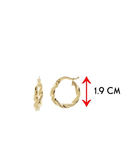 Parlak Burgu 14 Ayar Altın Kalın Halka Küpe-Küçük Boy resmi