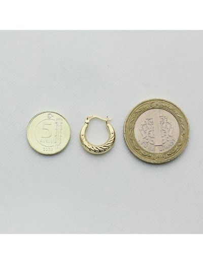 Altın Küçük Yelpaze Küpe (Çapı: 1.40cm) resmi