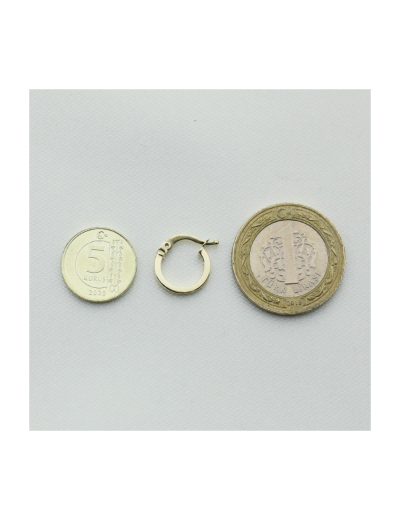 Kare Kesitli Altın Halka Küpe (Çapı: 1.30cm) resmi