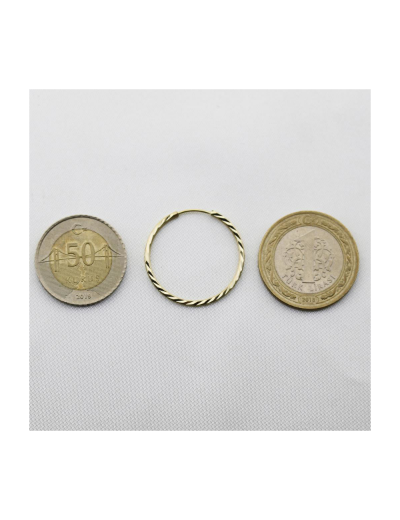 Yelpaze Kalemli Altın Halka Küpe (Çapı: 2.7cm) resmi
