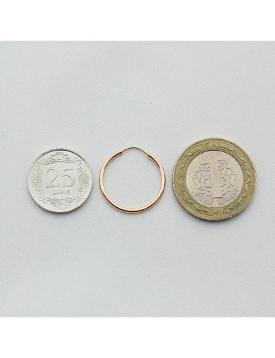 Pembe Altın Küçük Halka Küpe (Çapı: 1.8cm) resmi