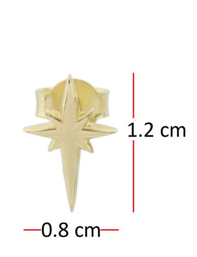 Altın Kutup Yıldızı Küpe
